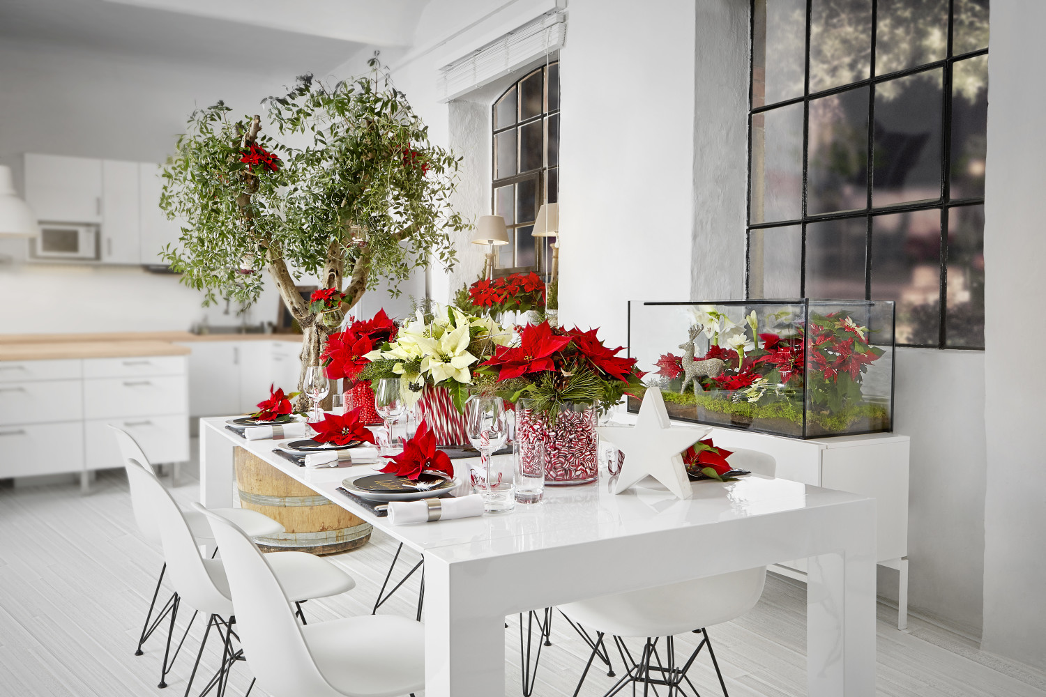 2015-poinsettia-moderno-sala-da-pranzo-it